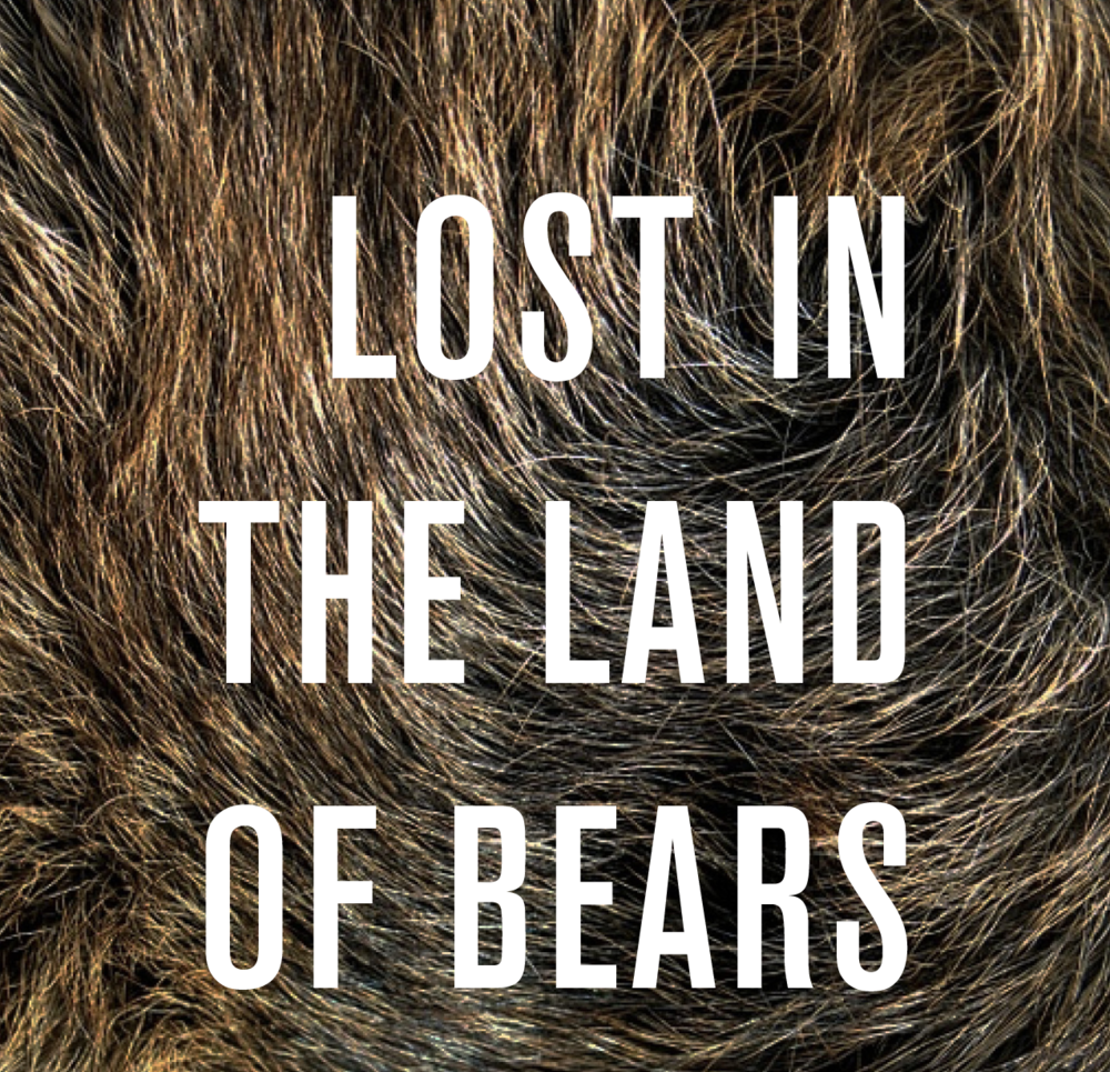 lost-bears