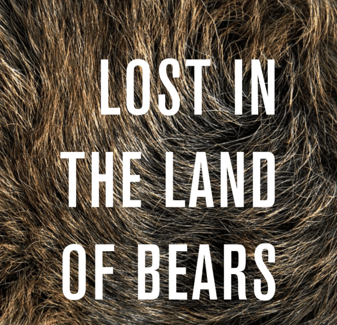 lost-bears