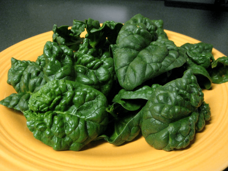 glossy spinach