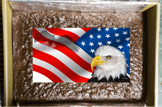 usa brownies