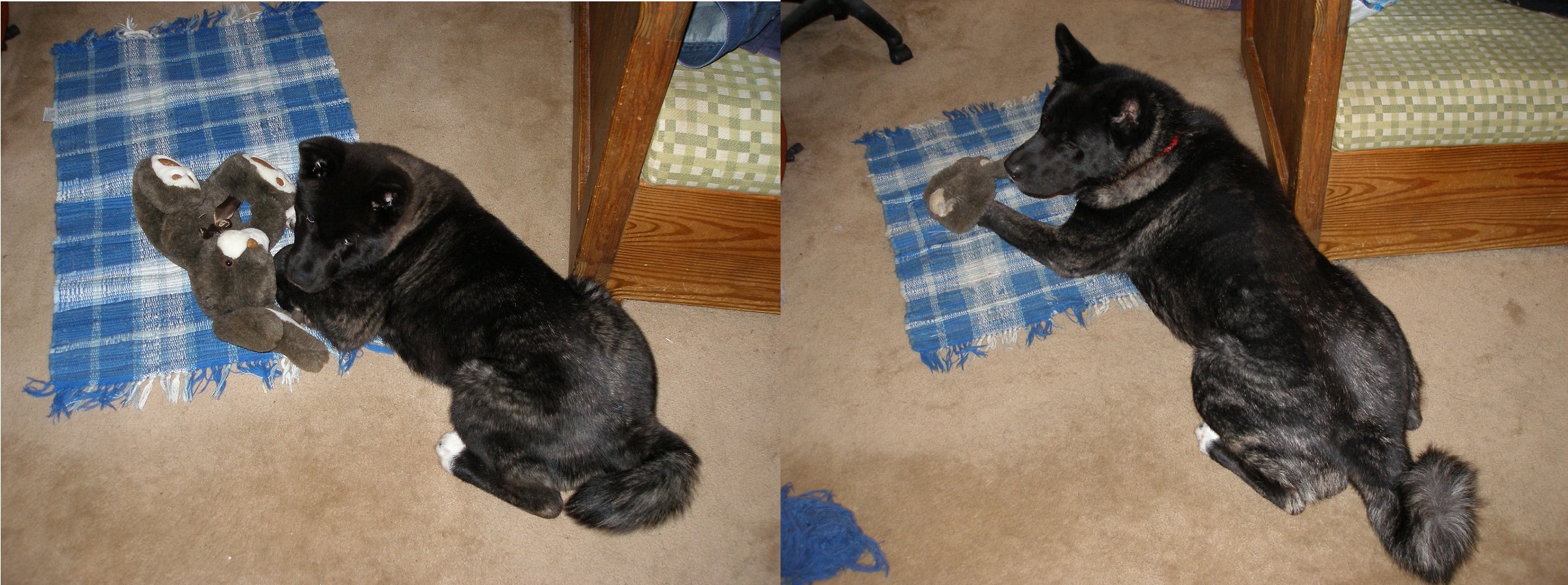 Crowley before and after