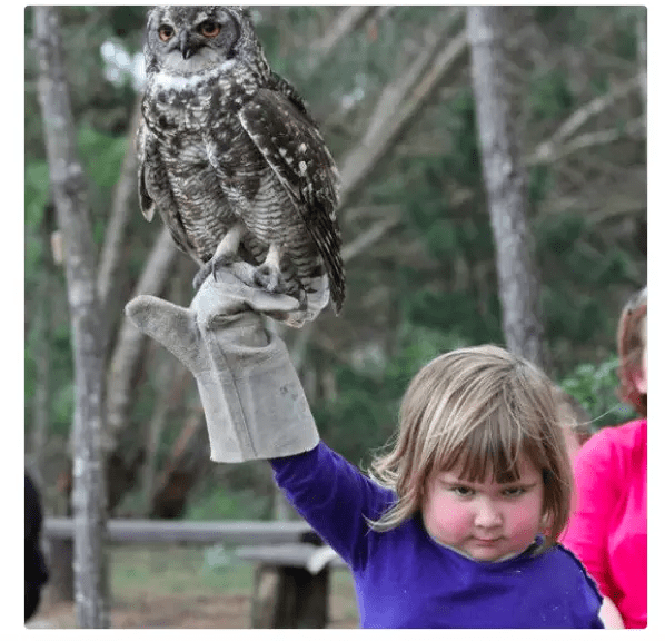 definition of fierce